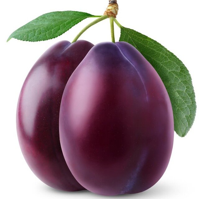 Слива — это плод семейства Сливовые и рода Слива (Prunus). К этому семейству также принадлежат вишня и персики – все они растут на цветущих деревьях, плоды которых с одной стороны имеют гладкую ровную закругленную поверхность, с другой стороны ямку, откуда растет черенок. Слива — настолько древнее растение, что ее следы были найдены в археологических памятниках эпохи неолита, также как и оливки, виноград и инжир. На самом деле сливы, возможно, были одним из первых плодов, которые стали специально выращиваться человеком благодаря ее пользе для организма человека и отсутствию вреда. одним из основных преимуществ сливы являются ее мощные антиоксидантные свойства. Сливы содержат витамин С и фитонутриенты, такие как лютеин, криптоксантин, зеаксантин, неохлорогенные и хлорогеновые кислоты. Продукты с высоким содержанием антиоксидантов помогают предотвратить определенные типы повреждения клеток, особенно вызванные окислением.