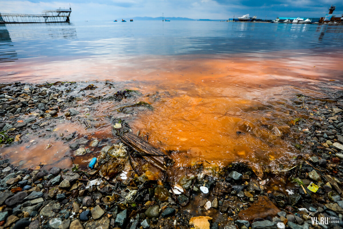 Что можно испортить водой