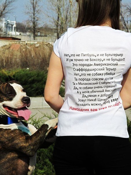 Читая тексты правил и законов о содержании собак, создается ощущение, что творцы таких правил сочиняли данные документы на колене, не найдя времени на то, чтобы вникнуть в суть вопроса или, хотя бы, проконсультироваться со специалистами-кинологами. Поэтому и правила получились кривенькие, невнятные и, самое главное, нежизнеспособные. Классификации собак в правилах безграмотны и оторваны от реальности. Исполнительной базы для контроля за соблюдением данных правил не предусмотрено. Органы, уполномоченные "регистрировать, контролировать, утилизировать" днем с огнем не сыщешь. Когда вы последний раз видели хоть на одной домашней собаке "обязательный" жетон? Я - еще будучи ребенком, в советское время.