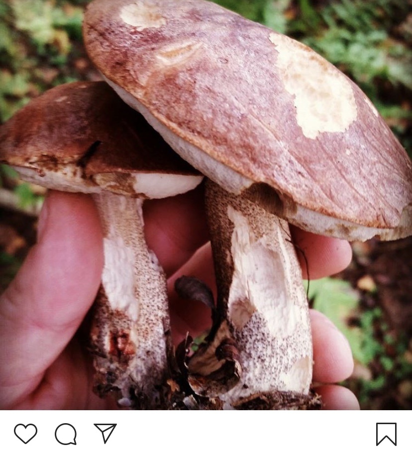 Фото от 28 мая 2020 года