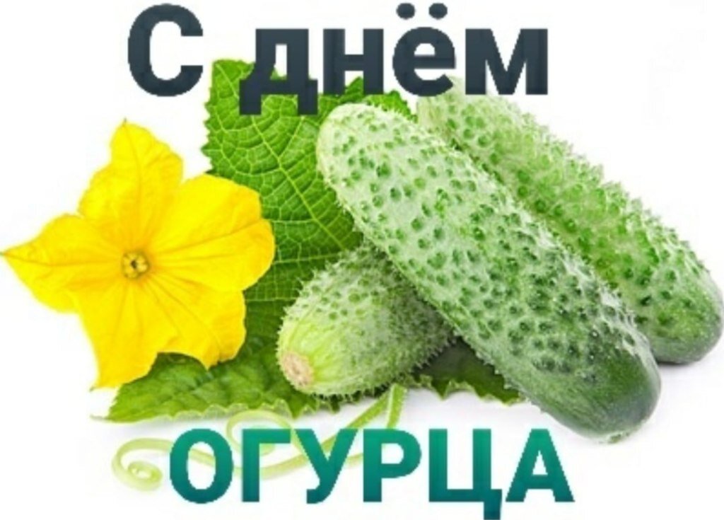 с днём огурца