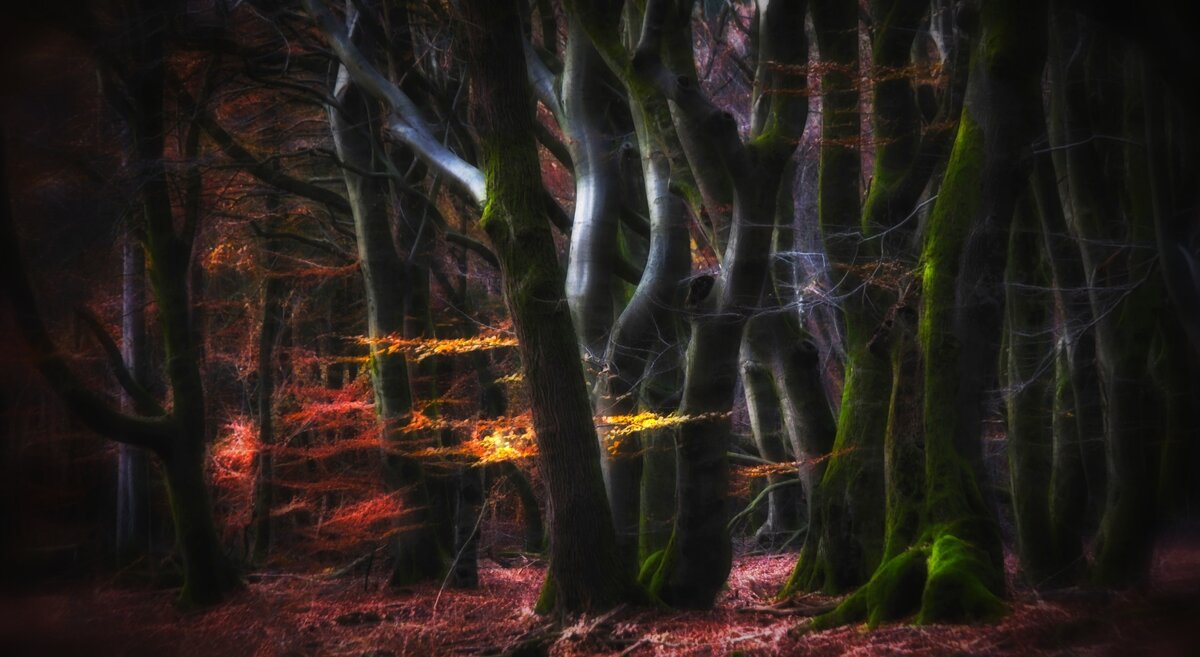 История, которую нужно читать до конца. Я  верю этому человеку.