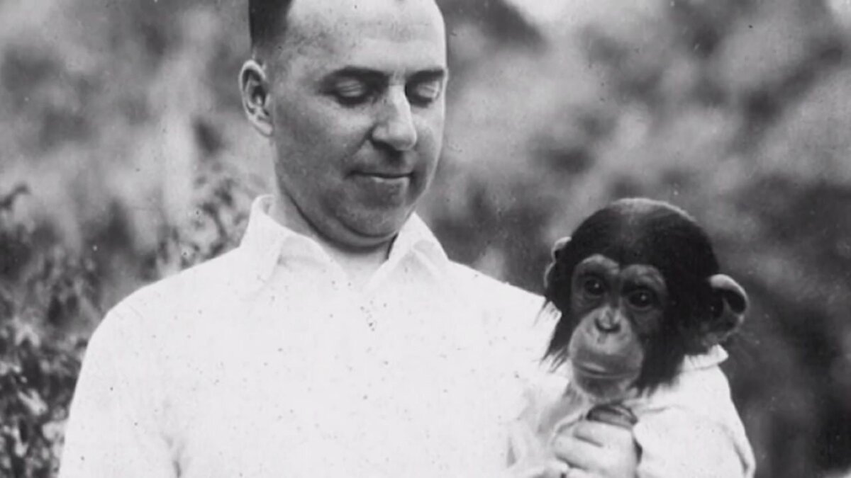 Источник: myvi.tv