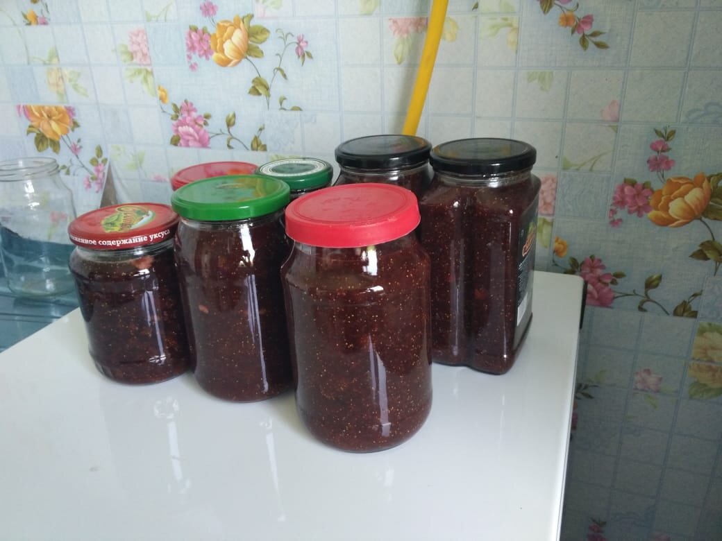 rinat26hasanov@yandex.ru