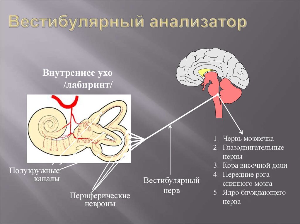 Схема анализатора равновесия