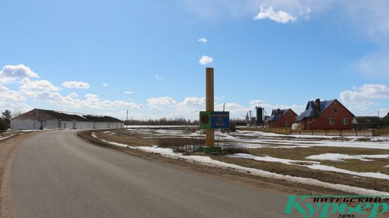 Дорога из Суража на Шапурово. Фото: Сергей Мартинович