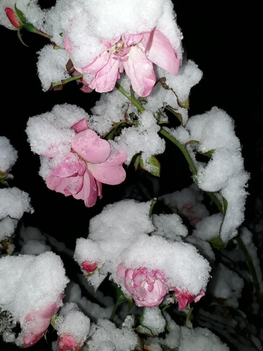 Все фото мои.