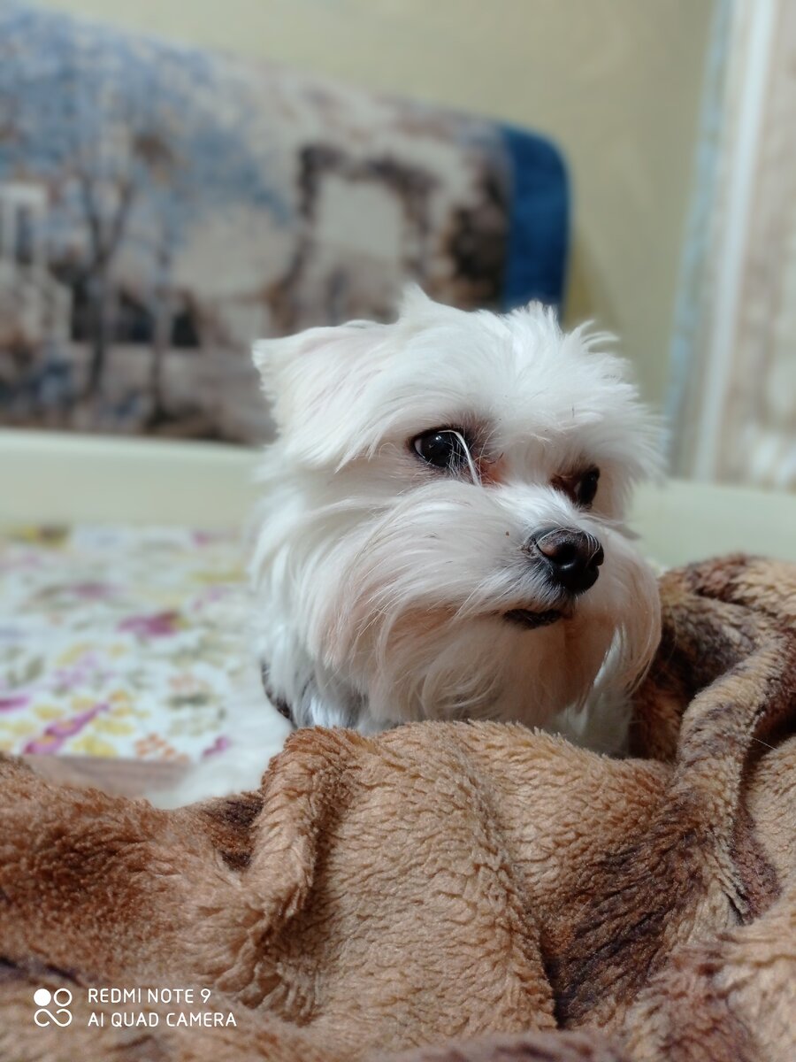 Готовится спать 😃