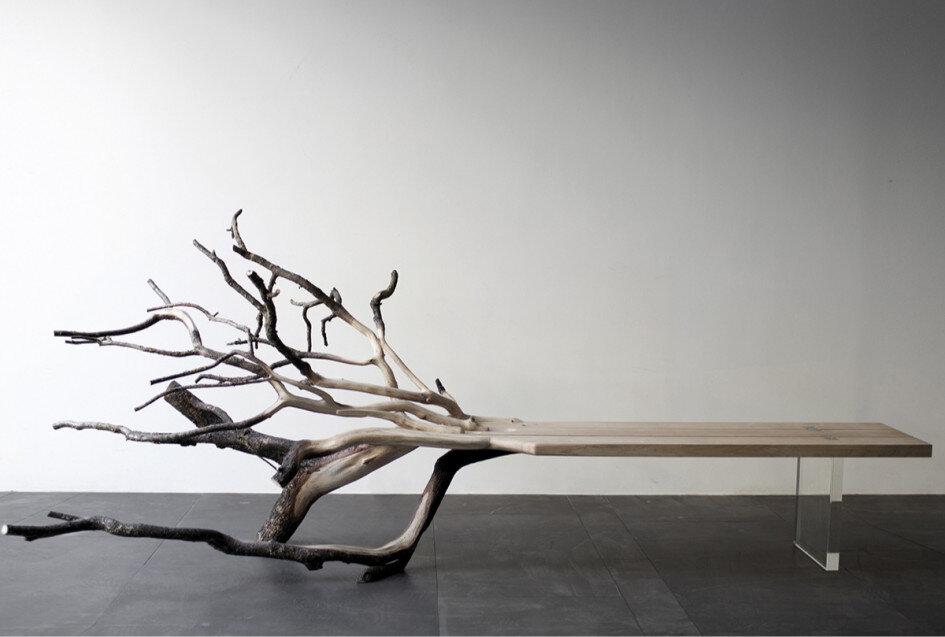 Стол из цельного дерева с ветками (Фото: Benjamin Graindorge)
