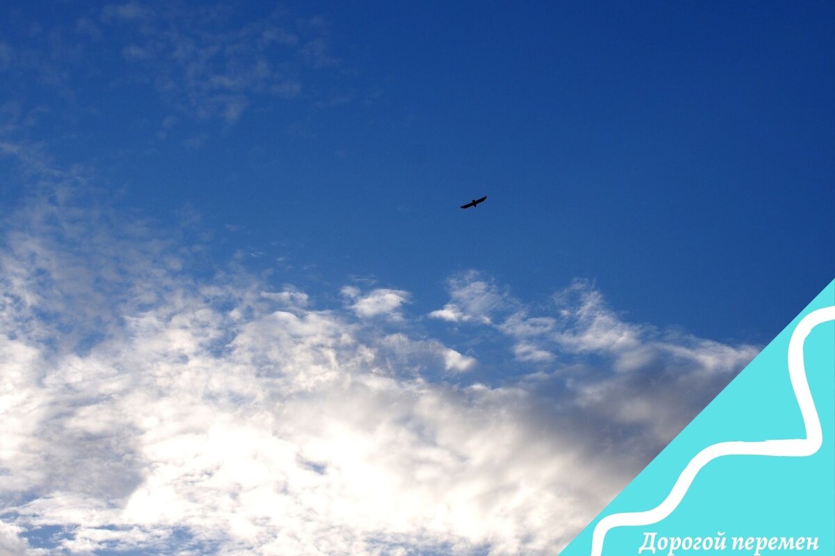 Нам есть, за что быть благодарными