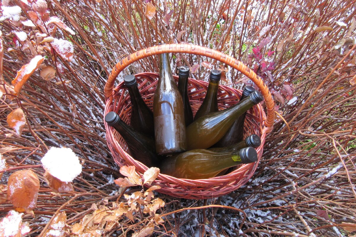 Яблочное вино