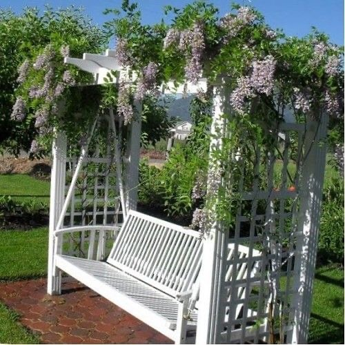 Фото взято из открытых источников