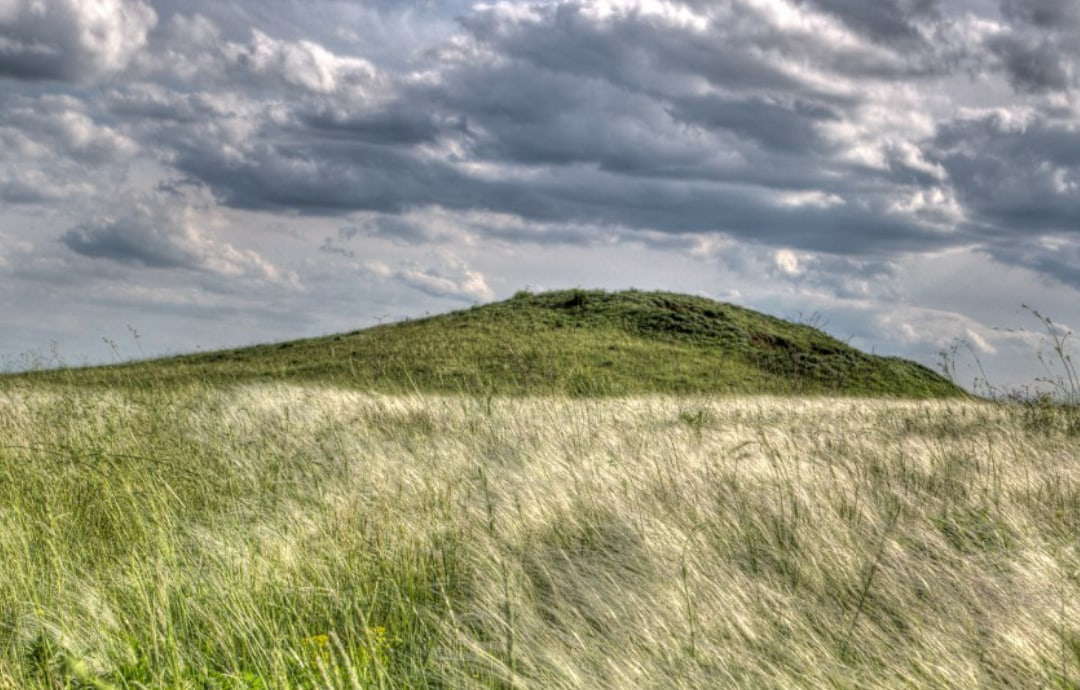 Деревья на пригорке. Видения на холме рубцов. Радостный пейзаж. На далёком холме средь деревьев. Стихотворение видение на холме.