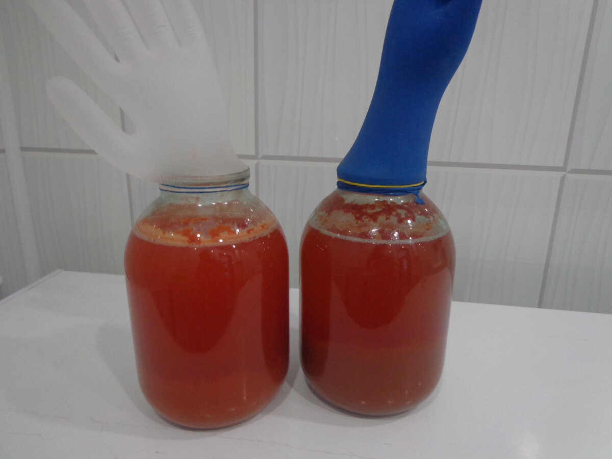 Винный гриб.