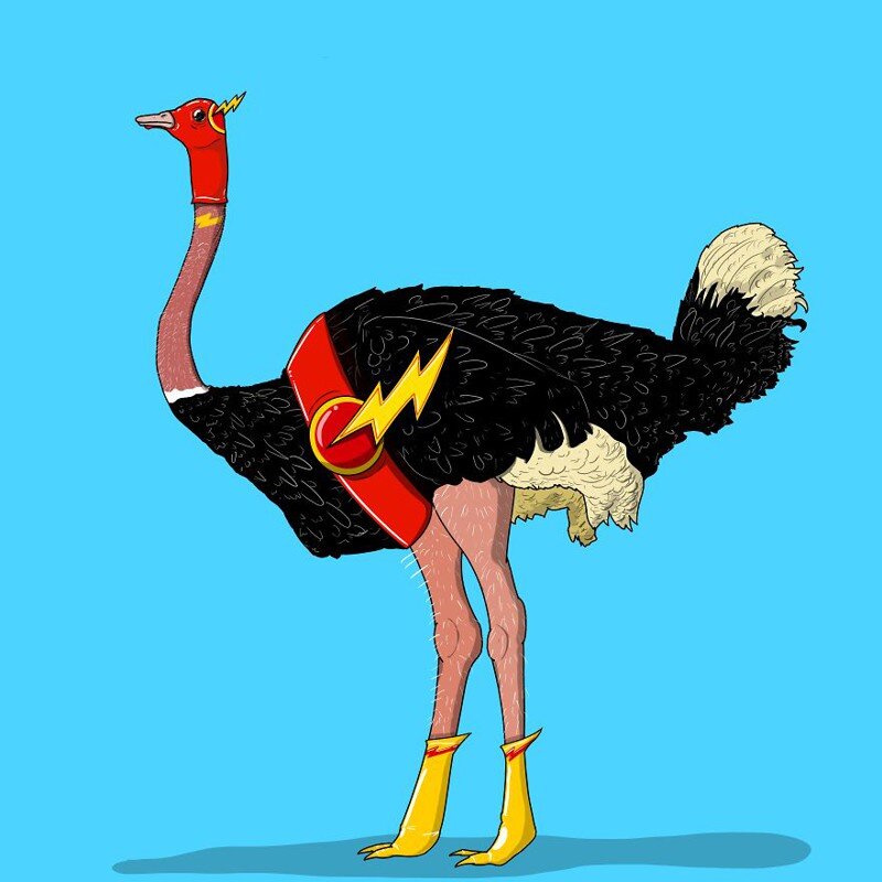 Фото из интернета. Мне кажется драконо-стаус выглядит так... 