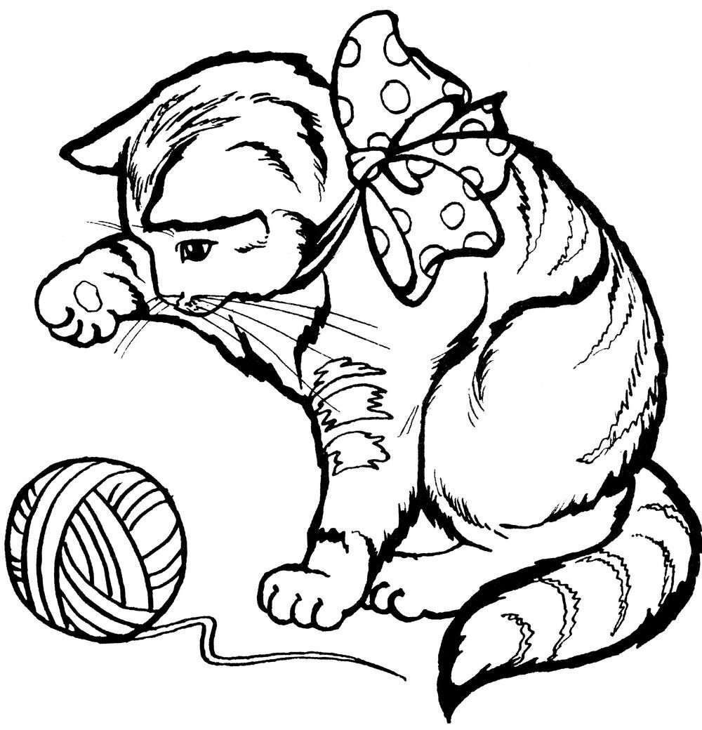 Картинка из свободных источников, шкодливый котеечка😊прям как я в детстве😅