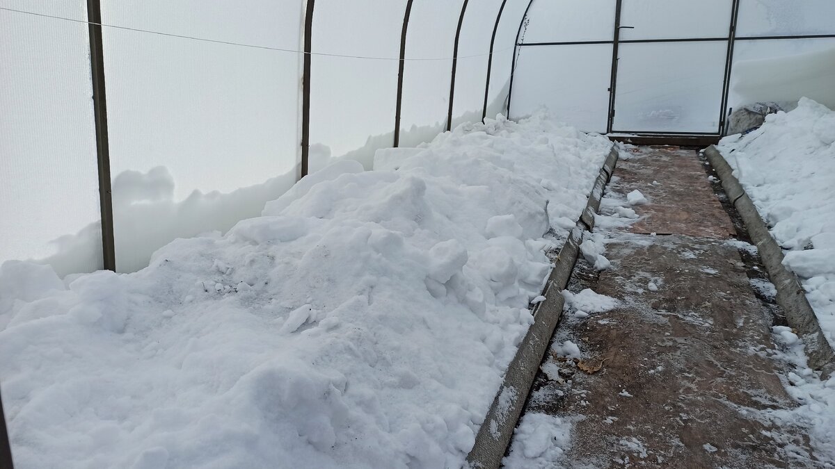 снег в теплице