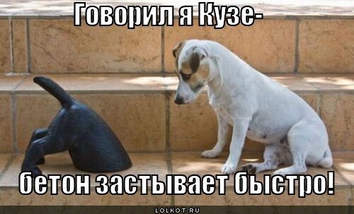 Ставьте лайки, ещё больше историй.
