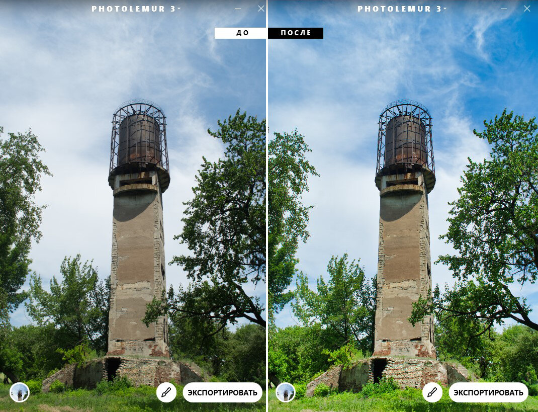 Photolemur 3
