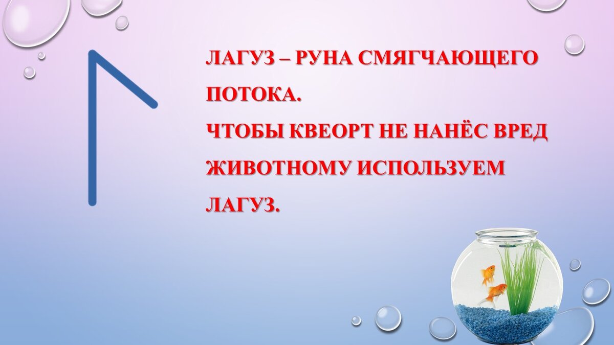 Нужна ли чистка и защита нашим домашним питомцам? | Карина Таро | Дзен