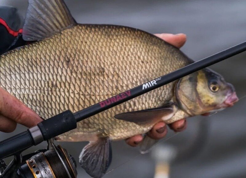 Фото https://www.instagram.com/p/CFuflVmjGQN/