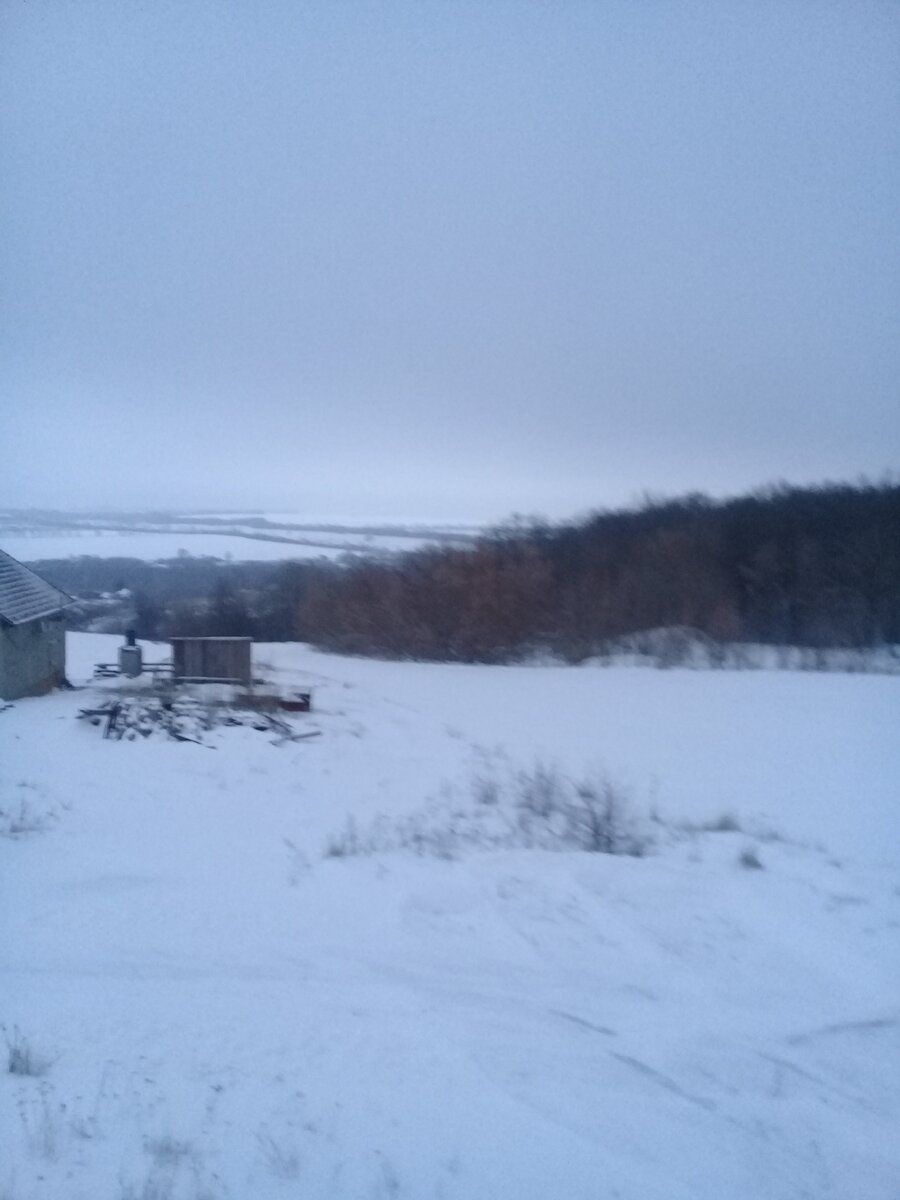 пвв