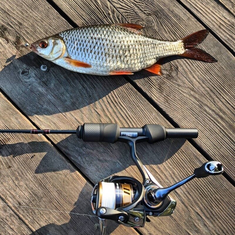 Фото https://www.instagram.com/p/CFEeNryjKdi/