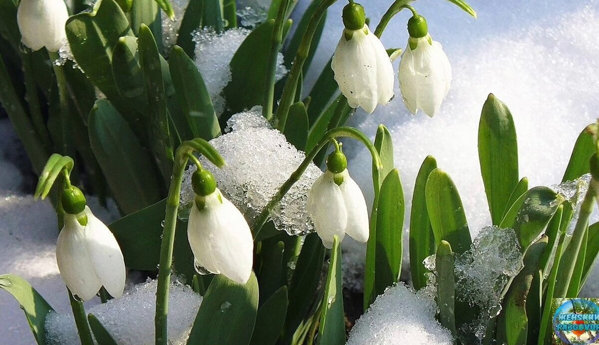 Фото добавлено с Яндекс.картинки
