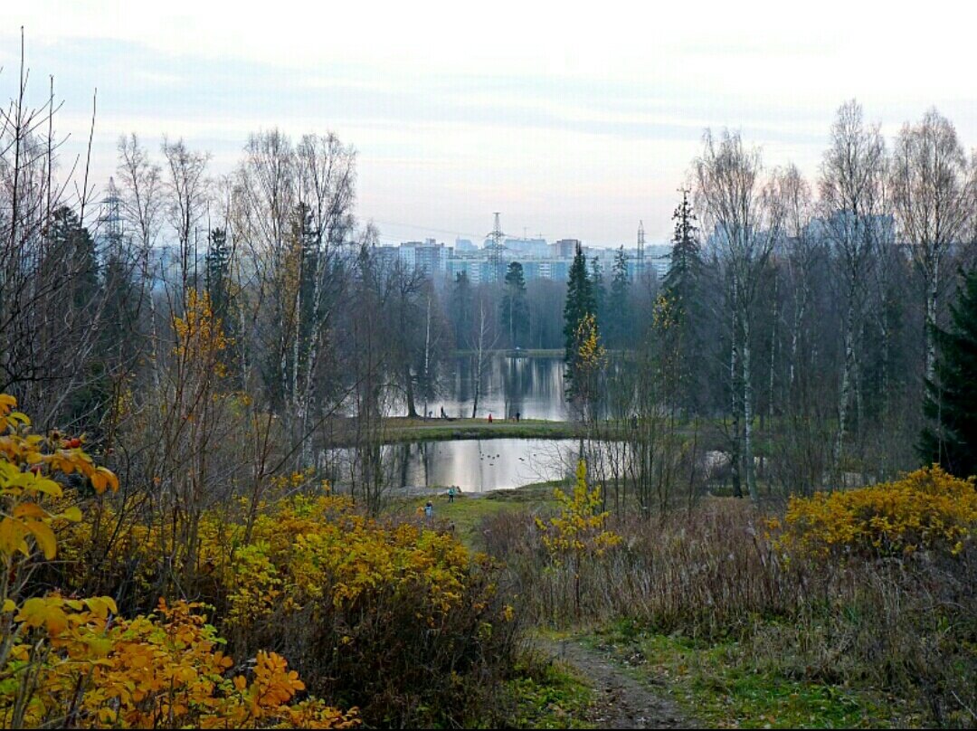 Лес парголово. Шуваловский парк. Шуваловский парк Санкт-Петербург озера. Шуваловский парк Парнас. Гора Адольфа Парголово.