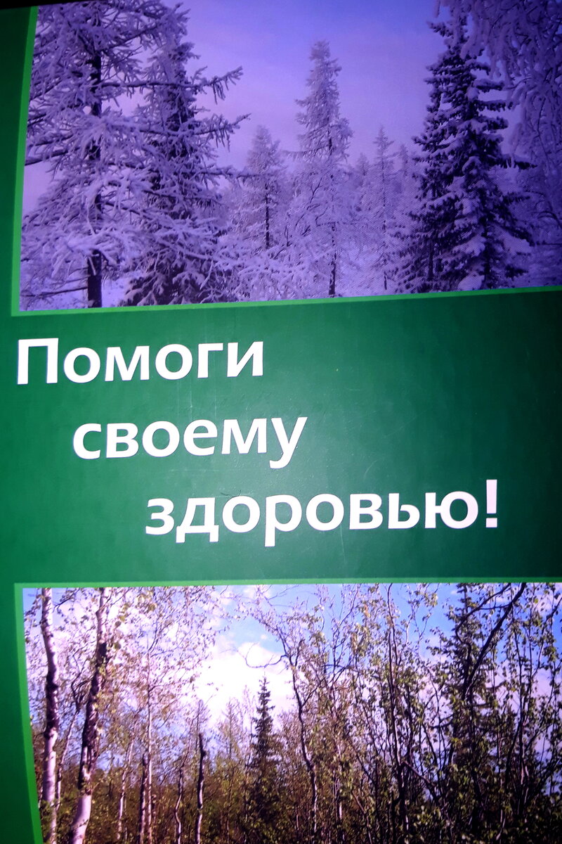 Из главы "Фитотерапия" книги автора "Помоги своему здоровью"