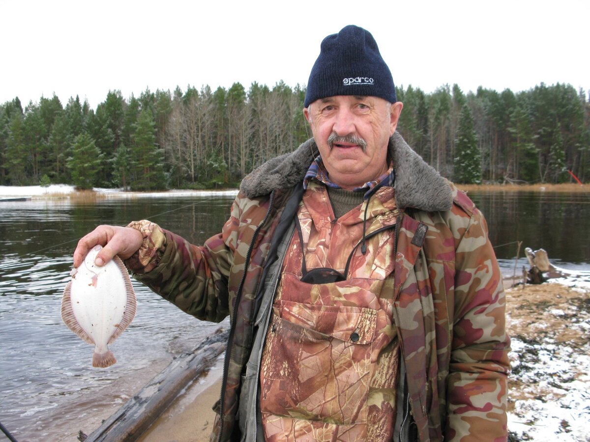 Беломорская камбала