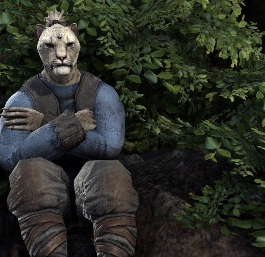 Карта в галерее