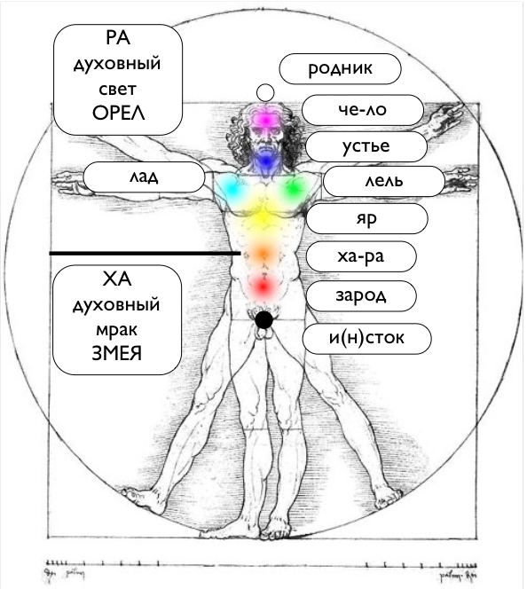 Значение чар. Чакры человека Славянская система. Чакры и чакральная система. Чакральная система славян. Славяно-Арийская система чакр.