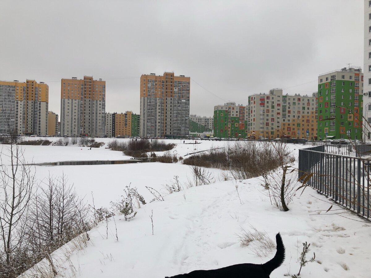 Микрорайон Бурнаковский. Прогулка вдоль озера. Фото сделано мной зимой 2020-2021 года.