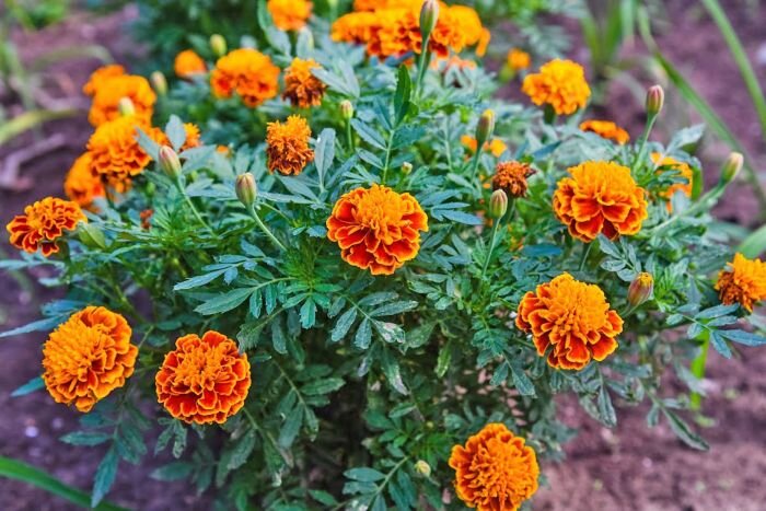 © Фото: ИД «Волгоградская правда» / архив.