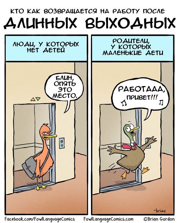 Источник Яндекс.картинки
