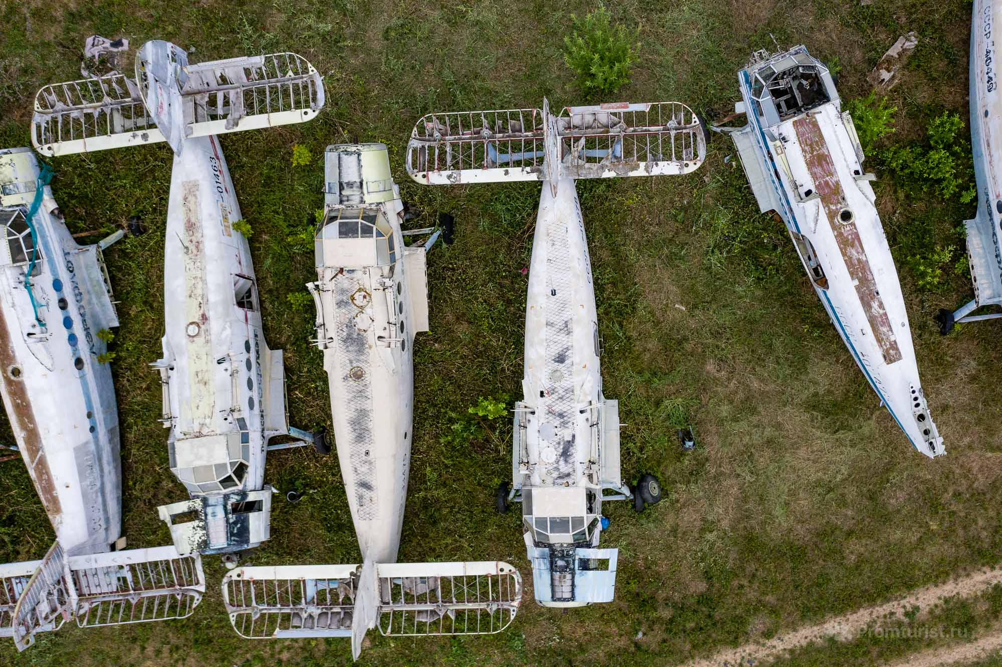 Нашёл за гаражами аккуратное кладбище самолётов Ан-2. Красиво конечно, но много вопросов ✈️⚰️?6