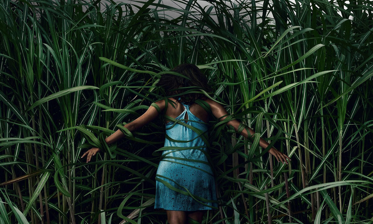 В высокой траве фильм 2019. Высокая зеленая трава 2019. Фильм нетфликс высокая трава. Высокая трава. Высокая зеленая трава 2019.