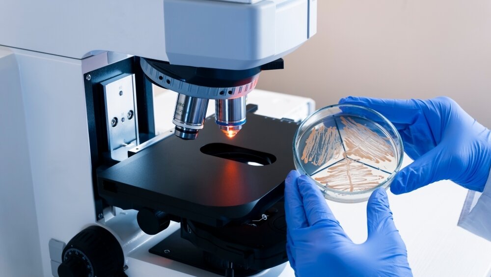   Фото: Shutterstock