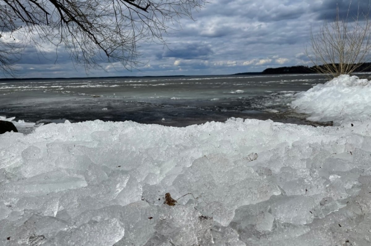    Зима-2022 придет в Воронежскую область с опозданием