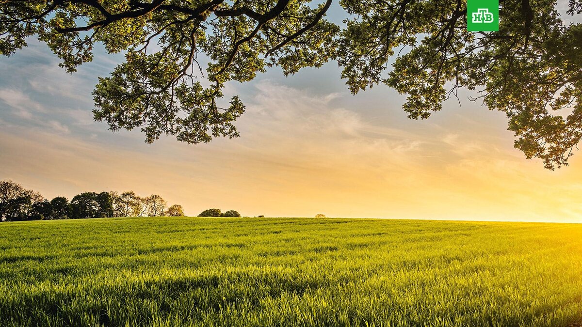    Росгидромет: климат в РФ теплеет в 2,5 раза быстрее, чем в среднем на Земле