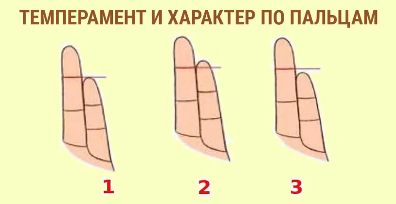 Изображение взято с открытых источников 