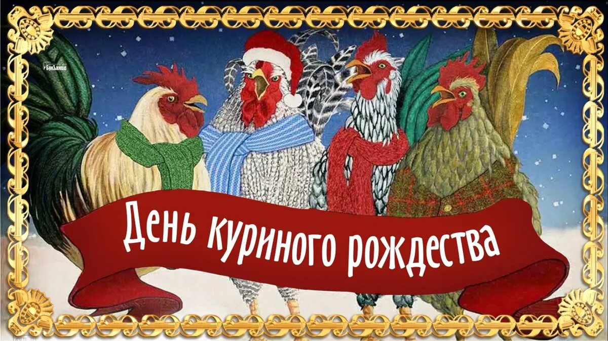 День куриного рождества. Иллюстрация: «Курьер.Среда»