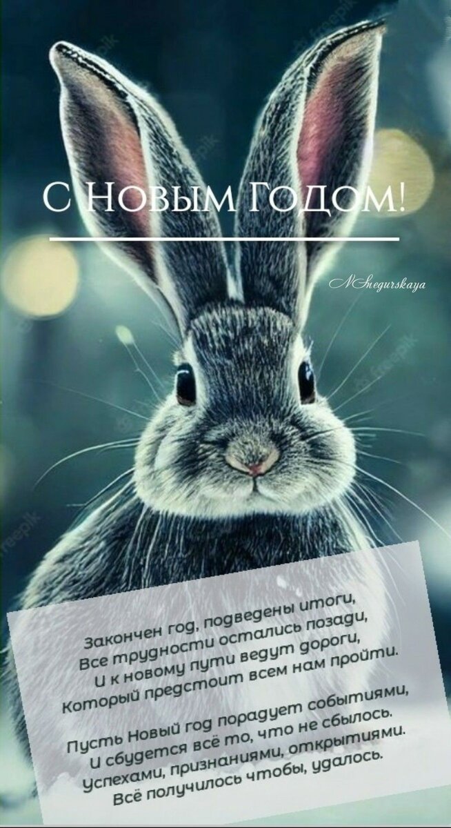 фото с сайта: https://ru.pinterest.com/pin/21532904461191833/