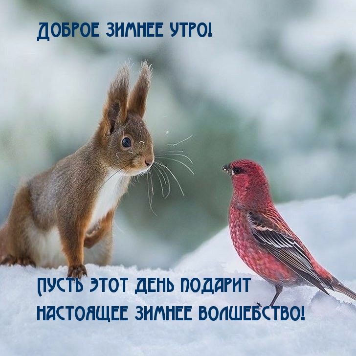 https://dobrogoutra.ru