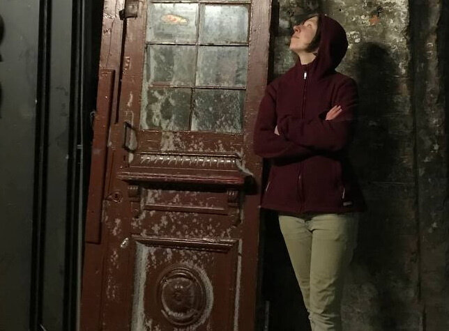   
 Фото: Двери с помоек