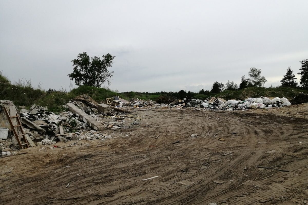    По последним официальным данным в 2022 году в регионе было ликвидировано 660 несанкционированных свалок Оксана Снегирева