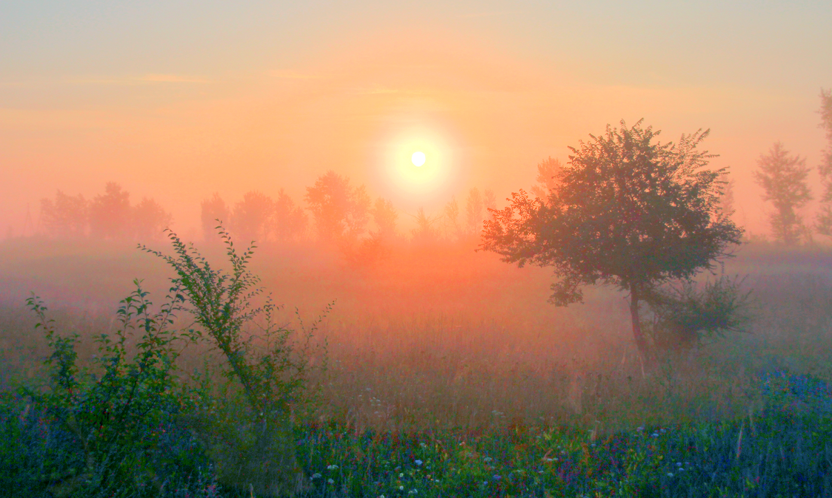 солнце всходит, но. солнце взошло в 6. яркое солнце. солнце всходит фото. желтое солнце пейзаж.
