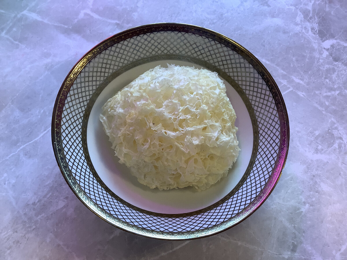 Так выглядит коралловый гриб