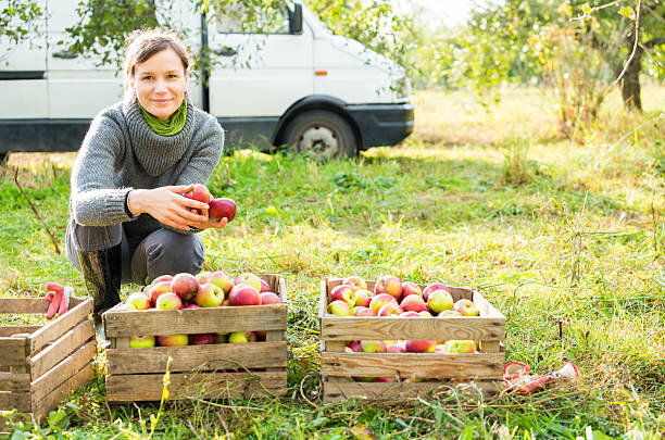 источник: istockphoto.com